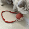 HELLOJOY猫咪玩具自嗨解闷神器智能电动逗猫球自动逗猫棒幼猫遛猫消耗体力 实拍图