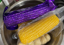 十月稻田 黑糯玉米 3.52斤(220g*8根) 东北甜黏玉米棒 早餐苞米 低脂零食 实拍图