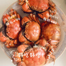 【活蟹】湖鲜阳澄大闸蟹公4.5-4.8两 母3.3-3.6两4对8只去绳足重特大蟹送礼螃蟹礼盒装 实拍图