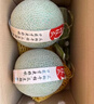 京鲜生 海南西州蜜哈密瓜 净重8-9斤 2-3粒精品   源头直发包邮 实拍图