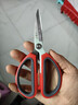 王麻子剪刀家用 不锈钢厨房剪纸裁缝工业剪子 多功能尖头中号剪刀 实拍图