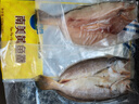 三都港 冷冻南美黄鱼鲞600g/2条 黄花鱼 大黄鱼 生鲜 鱼类 实拍图