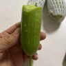 低卡早餐奶油黄瓜减脂夏季零食白玉水果黄瓜脆甜可口生鲜蔬菜 试吃款 12根左右 泡沫箱发货 3斤 实拍图