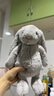 Jellycat害羞乳白色邦尼兔动物毛绒玩偶安抚玩偶娃娃新年生日礼物 害羞银色邦尼兔 Medium 实拍图