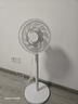 长虹（CHANGHONG） 电风扇落地扇家用立式电扇台扇摇头扇小型办公室宿舍家用风扇遥控空气循环风扇 中号遥控款7叶（标准型） 实拍图