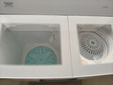 澳柯玛（AUCMA）13公斤半自动波轮洗衣机家用双缸大容量双电机宿舍租房脱水甩干除毛国家补贴以旧换新XPB130-3188S 实拍图
