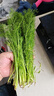 茗君鲜顺丰包邮山东茴香菜新鲜茴香苗现摘头茬荤香嫩叶小茴香饺子馅蔬菜 茴香3斤（顺丰/京东包邮） 实拍图