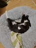憨憨乐园狗窝猫窝垫子小型犬泰迪宠物窝床猫咪狗狗四季保暖窝垫子长毛窝M 实拍图