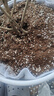 德沃多肥料55L植物营养土通用养花土种菜有机土壤泥炭土绿植盆栽种植土椰糠 实拍图