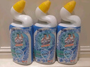 威猛先生（Mr Muscle）强效 洁厕灵 洁厕剂 丁香香型 马桶清洁 600gX2瓶 实拍图