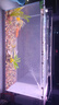 长锐侧滤鱼缸桌面办公室免换水生态水草超白水族箱 K800标配版【长80 宽30 高40】 实拍图