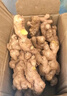 云南小黄姜新鲜生姜子生鲜姜月子姜超市蔬菜调料姜 净重500g 实拍图