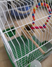 獒少保鸟笼鹦鹉专用鸟笼大号家用八哥鹦鹉笼子金属电镀加粗豪华鸟别墅 电镀银基础套餐 大号56*32*31cm 实拍图