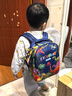 Edison幼儿园书包学前班户外轻便出游儿童小学生研学小背包6001-3恐龙 实拍图