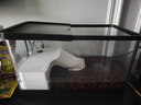 阔庭（KUOTING）乌龟缸生态缸宠物饲养箱透明爬宠专用水陆两用过滤爬台款黑色 实拍图