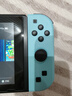 风暴妖龙switch手柄joy-con适配hd体感游戏震动ns无线蓝牙左右分体霍尔摇杆健身环喷射战士非任天堂手柄 【动森限定】手柄直充不伤主机丨支持健身环丨体感震动 实拍图