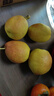 京鲜生 新疆库尔勒香梨 净重5斤 一级 单果100g-120g  生鲜水果 实拍图