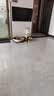 喵仙儿猫爬架一体猫窝多层跳台花瓣猫抓柱耐磨猫抓板小型不掉屑猫玩具 实拍图