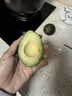京鲜生 智利即食牛油果大果6粒装 单果130g起 源头直发 包邮 生鲜水果 实拍图