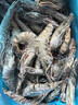鲜京采 巨型黑虎虾 去冰净重3斤 24-30只/盒 源头直发 包邮 实拍图