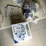 睿思游戏（Ravensburger）重力轨道球XXL版装早教益智儿童玩具男孩女孩6岁新年春节礼物生日 实拍图