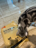 好主人成猫猫粮全价成猫天然粮通用鸡肉味猫粮2.5kg*3 实拍图