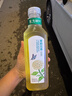 农夫山泉 东方树叶绿茶500ml*15瓶无糖茶饮料0糖0脂0卡整箱装解渴饮品 实拍图
