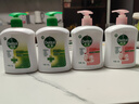 滴露（Dettol）洗手液抑菌滋润450g*2+松木450g*2儿童家庭补充装消毒温和护手 实拍图