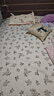 洁丽雅夹棉床盖床单单件加厚韩版花边款双人床罩  清新花蕊 230*250cm 实拍图