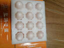 温润食品新鲜鸽子蛋 12枚/216g 京东自营优质蛋白营养鸽蛋宝宝孕妇放心吃  实拍图