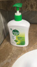 滴露（Dettol）洗手液松木500g瓶 健康抑菌消毒非补充装 儿童家庭用清爽去油 实拍图
