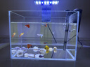 坤宁王金晶超白玻璃鱼缸桌面造景小鱼缸家用客厅裸缸一体缸25*16*18cm 实拍图