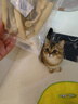 PetChoice猫咪零食冻干宠物狗狗鸡胸肉多春鱼三文鱼干鸭肉牛肝蛋黄 三文鱼冻干50g 实拍图