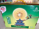 佳沛（zespri）新西兰  阳光金奇异果10粒礼盒巨大果单果约144-175g 水果 猕猴桃 实拍图