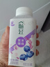 伊利畅轻冠蓝莓紫米爆珠风味发酵乳250g 实拍图