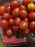 新鲜采摘圣女果樱桃小番茄蔬菜 带箱1斤精选果 实拍图