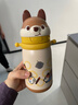 babycare儿童水杯6个月以上宝宝霸王龙不锈钢保温杯上学450ml-新旧款混发 实拍图