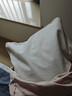 京东京造 经典荞荞枕 100%荞麦壳填充透气高度可调花草枕头枕芯单只装 实拍图