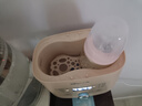 小熊（Bear）温奶器 消毒器二合一 暖奶器 母乳解冻定时加热辅食 NNQ-A03F1 实拍图
