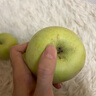 启程生鲜陕西头茬青苹果新鲜采摘清脆多汁 带箱1斤 实拍图