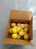 京鲜生 安岳黄柠檬16粒 单果95g-120g 生鲜水果 实拍图