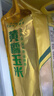 十月稻田 黄糯玉米 3.52斤(220g*8根) 25年新玉米 低脂 早餐零食 东北玉米 实拍图