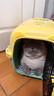 哈巴斯（Habas）便携外出折叠宠物猫国航航空箱猫咪专用车载猫笼子猫箱宠物托运箱 【25斤内宠物】烟灰白-送隔板 重量2.15kg 【升级加厚 耐磨抗压】 实拍图