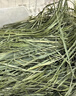 喜帅兔子提摩西草 精选烘干北提提草龙猫兔粮荷兰猪主粮磨牙零食500g 实拍图