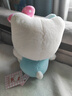 Hello Kitty三丽鸥毛绒玩具布偶猫咪玩偶布娃娃抱枕生日礼物女生 凯蒂猫公仔 实拍图