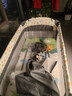 ABCMOKOO帕尼婴儿床折叠宝宝床可移动新生儿多功能拼接大床-PRO MAX款 实拍图