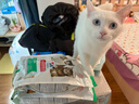 希尔思Hill‘s幼猫粮3.5磅 希尔斯猫粮进口幼年期全价猫主粮1-4月12月 幼猫3.5磅全新升级款 实拍图
