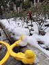 康迪拉家族儿童小黄鸭大号加厚雪球夹玩雪工具玩具夹雪球神器装备套装雪夹子 实拍图