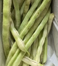 京鲜生山东新鲜白芸豆净重1.8斤装白不老新鲜蔬菜源头直发包邮 实拍图