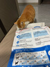 皇家室内成猫粮 I27 通用粮 12月以上 10KG 实拍图
